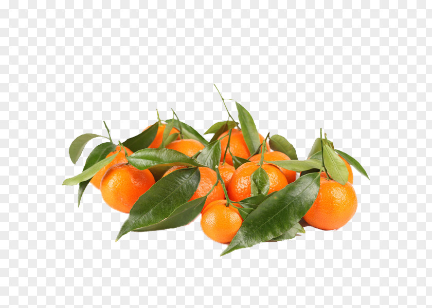 Sand Candy Picture Clementine Tangerine Orange Fruit Food PNG