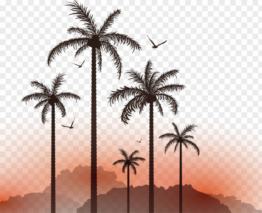 Vector Coconut Tree Sunset Seagull Plant Material Euclidean Illustration PNG