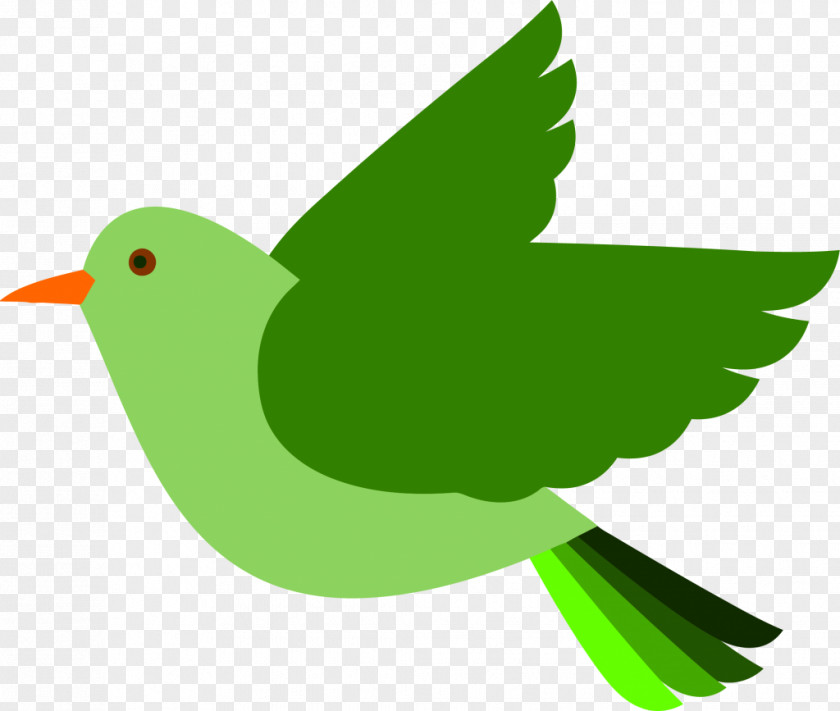 Bird Clip Art PNG