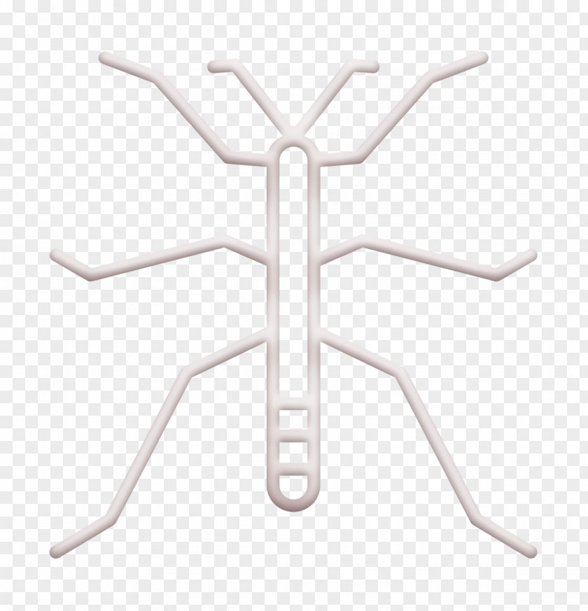 Insects Icon Walkingstick PNG