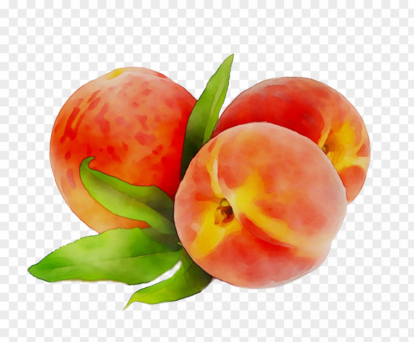 Peach Diet Food Still Life Photography PNG
