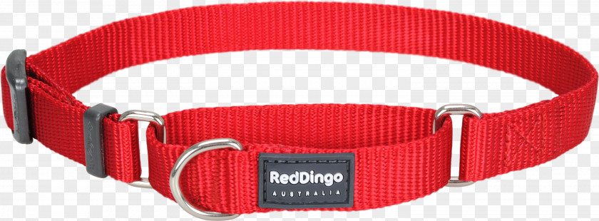 Red Collar Dingo Puppy Greyhound Whippet Lurcher PNG