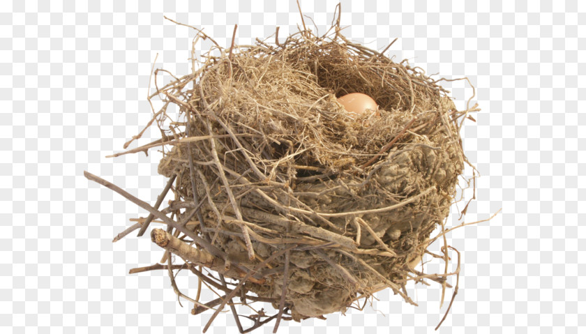 A Grass Nest Clip Art PNG