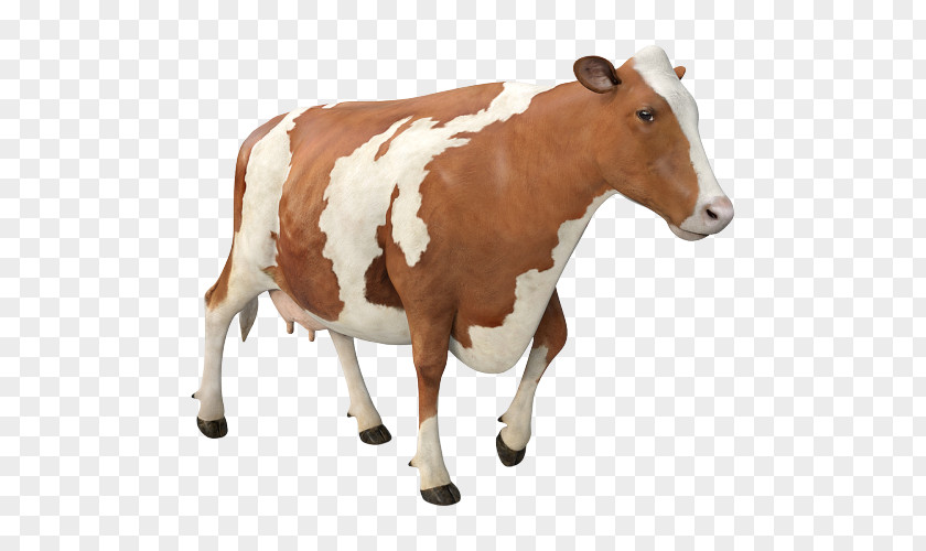 Bovine Animal Figure Dairy Cow Livestock Brown PNG