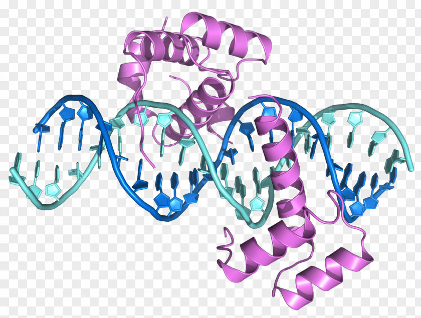 DNA ENCODE Bioinformatics Mutation Chromosomal Inversion PNG