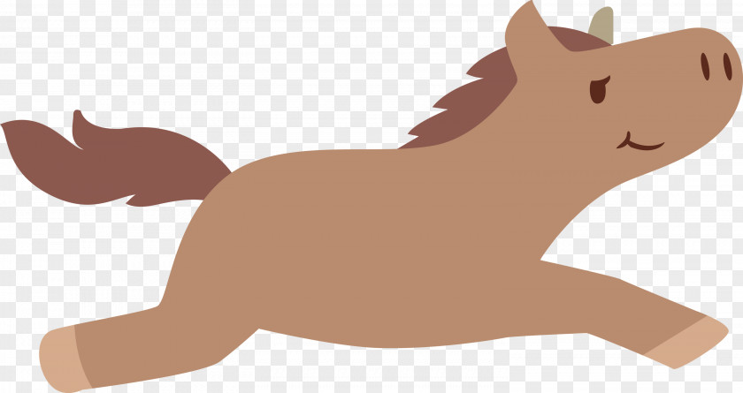 Dog Cat Kitten Snout Whiskers PNG