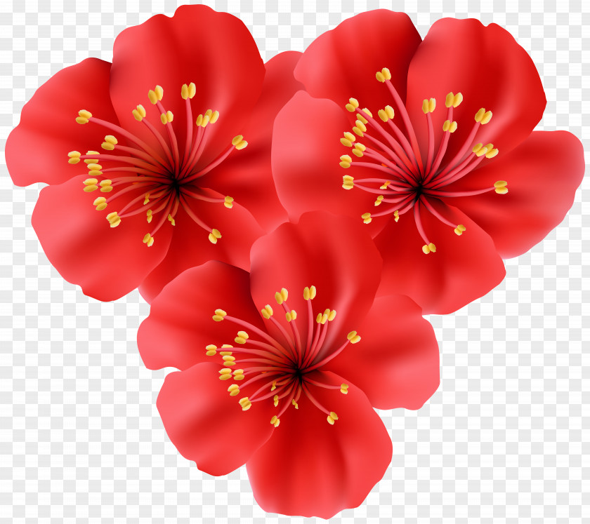 Tropical Flower Tropics Gerber Format Clip Art PNG