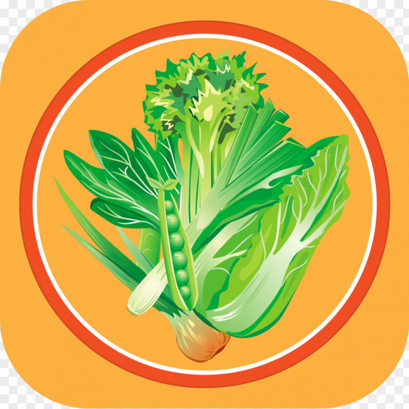 Vegan Spring Greens Vegetarian Cuisine Natural Foods Herb PNG