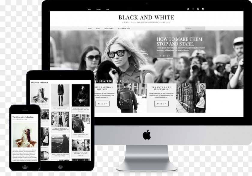 WordPress Theme Template Responsive Web Design PNG