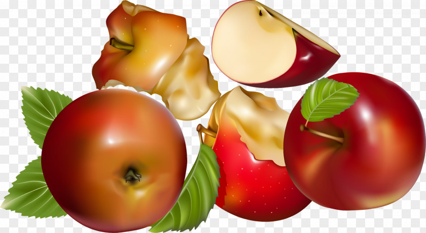 Berry Fruit PNG