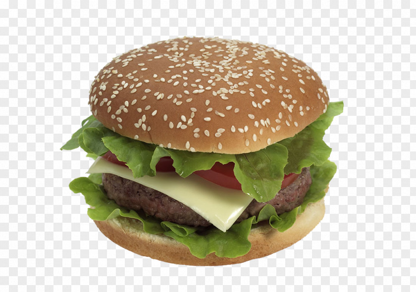 Cheese Steak Burger Cheeseburger Hamburger Whopper Slider Buffalo PNG