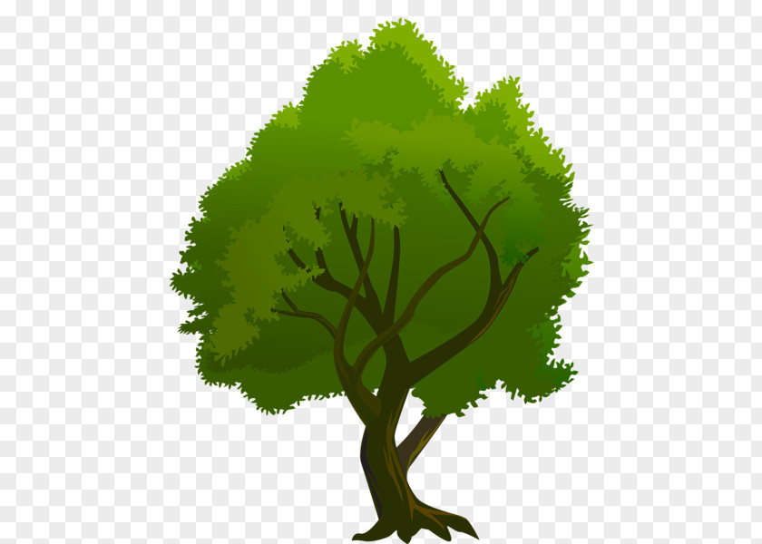 Clip Art Tree Desktop Wallpaper PNG