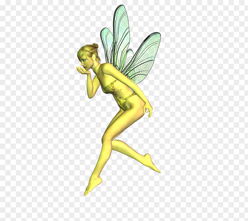 Duende Fairy Guardian Angel PNG