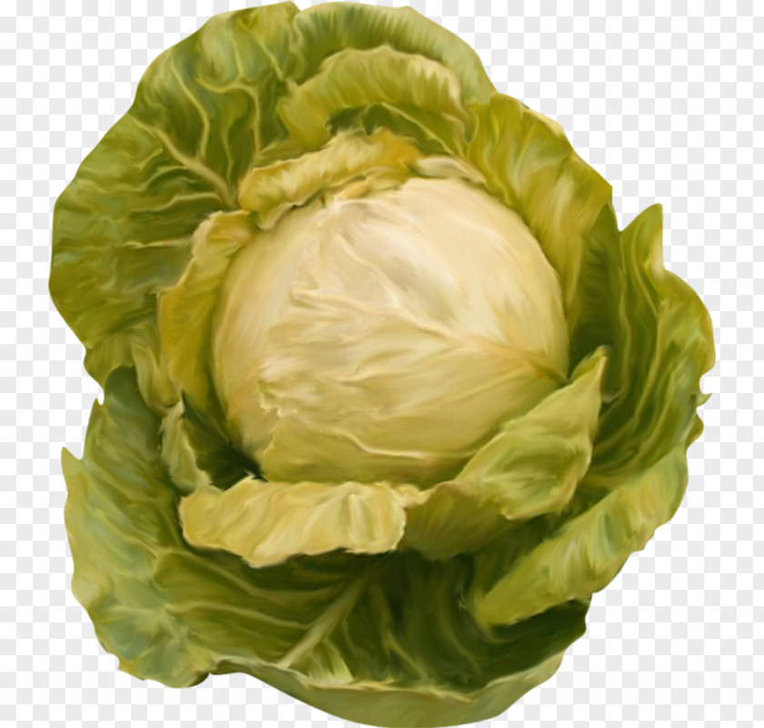 Green Cabbage Red Cauliflower Clip Art PNG