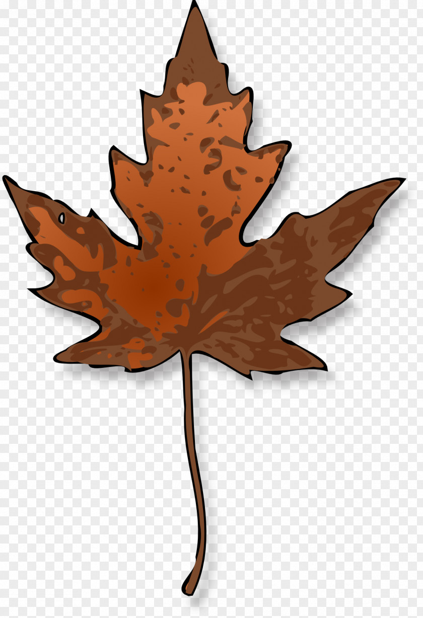 Leaves Sugar Maple Leaf Clip Art PNG