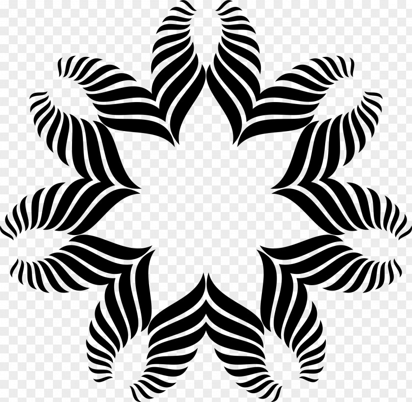 Petal Design White Line Symmetry Clip Art PNG