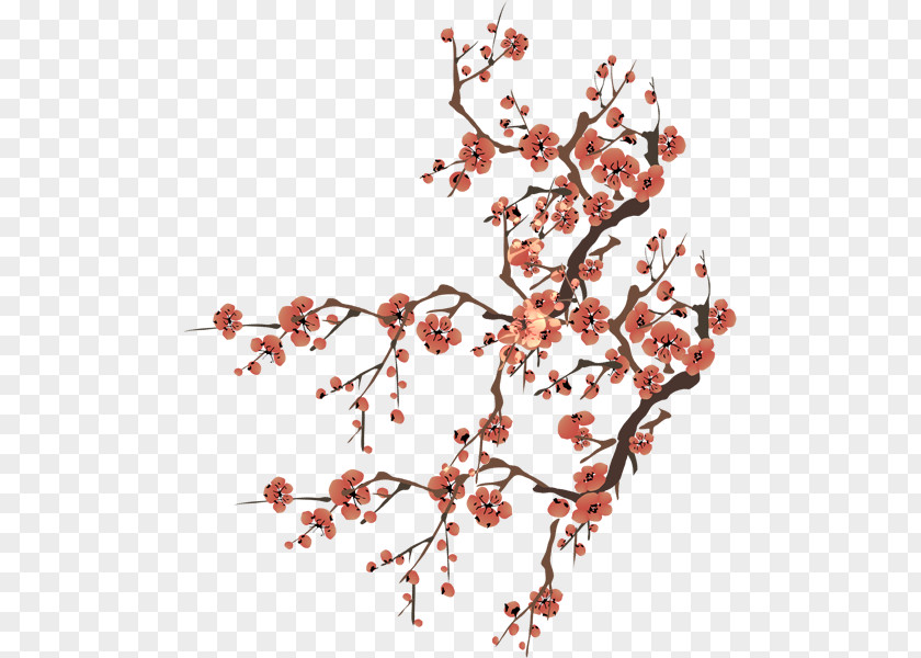 Plum Flower Blossom PNG