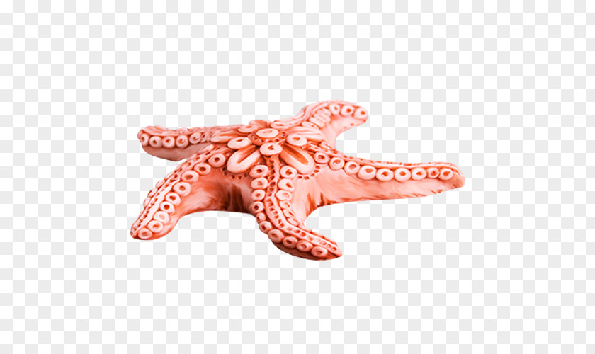 Starfish Pixel Clip Art PNG