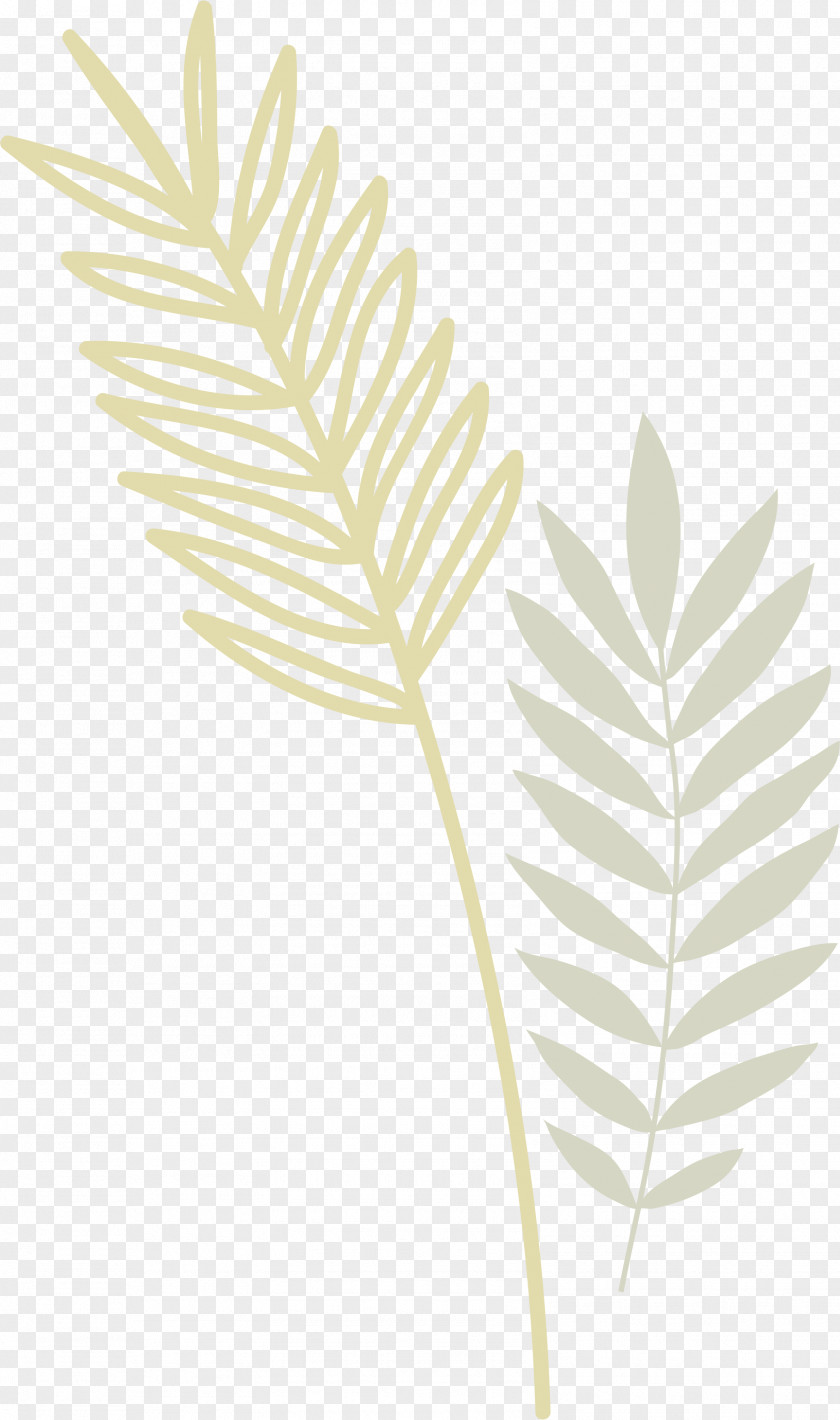 Leaf Euclidean Vector PNG