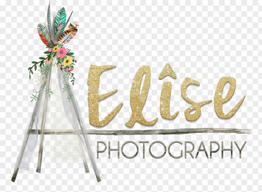 Logo Tipi Photography Brand Font PNG