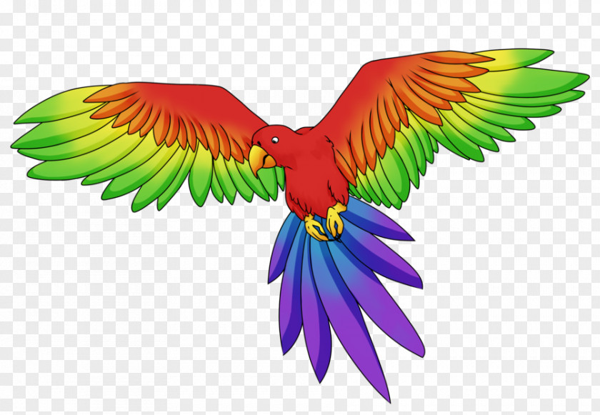 Parrot Budgerigar Macaw Rainbow Lorikeet Parakeet PNG