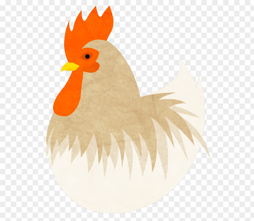 Pets Material Plane Rooster Chicken Meat PNG
