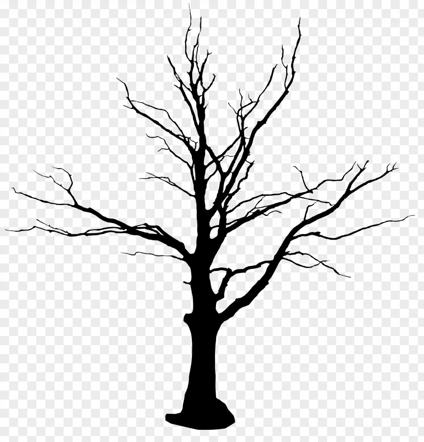 Tree Drawing Snag Branch Clip Art PNG