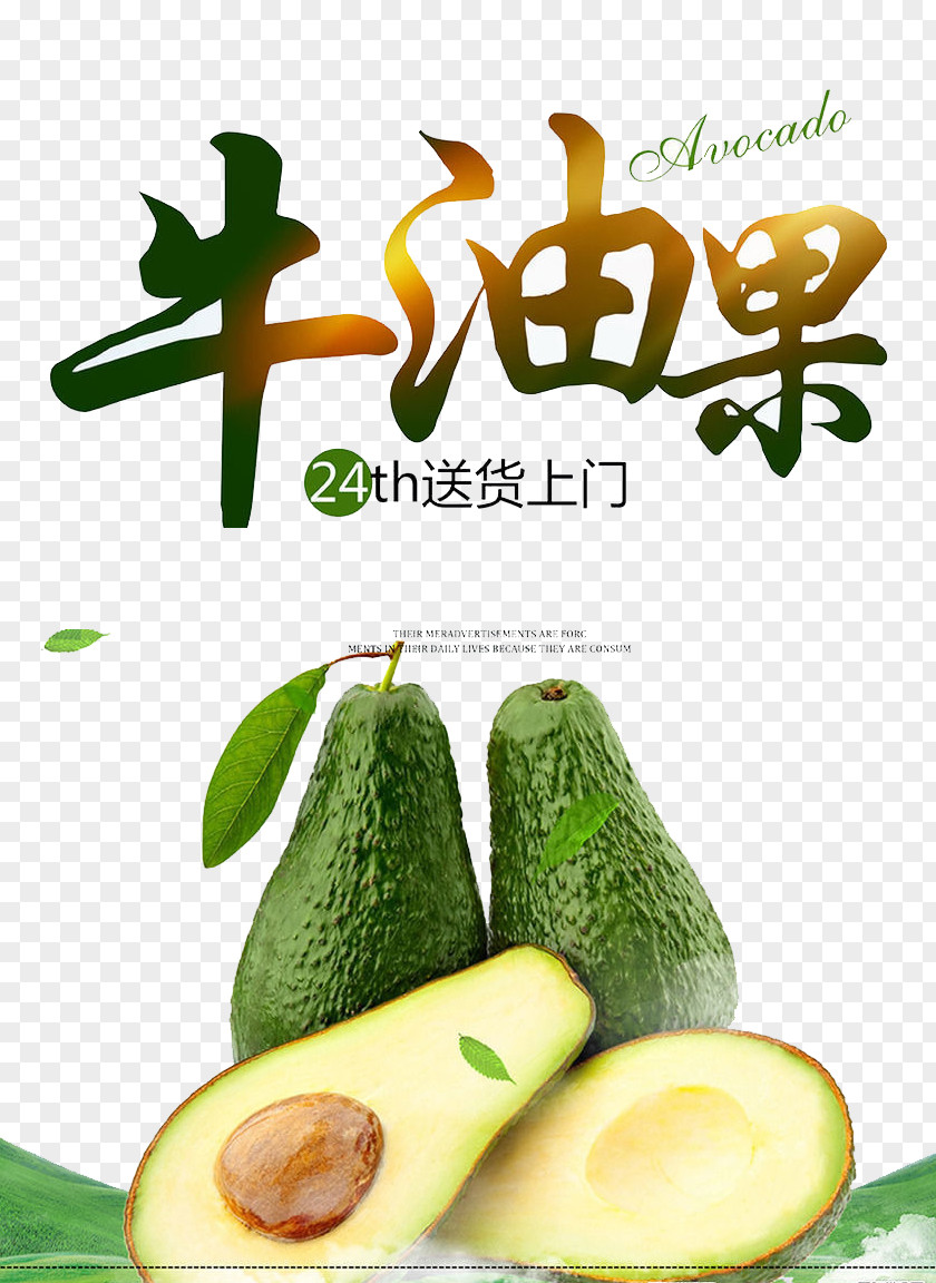 Avocado Nutrient Lotion Sunscreen Skin Moisturizer PNG