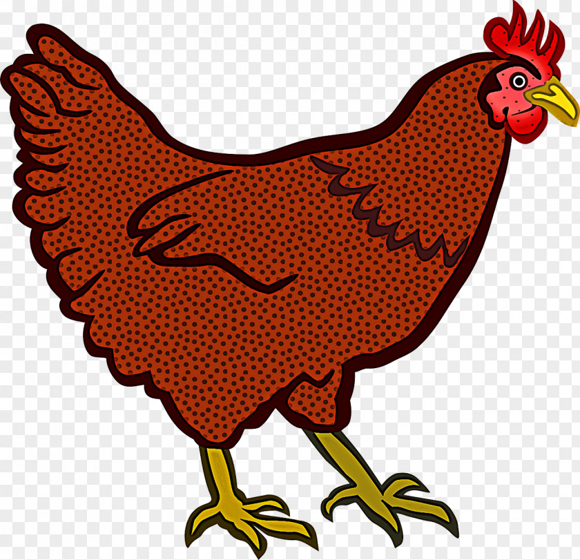 Bird Chicken Rooster Beak Fowl PNG
