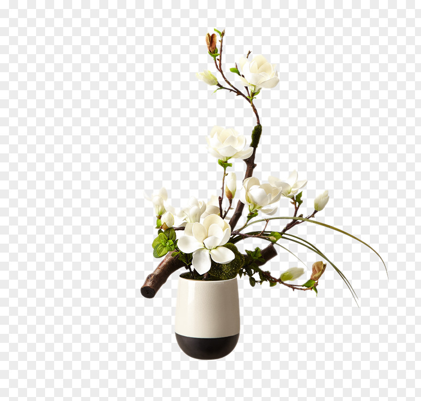 Brandy Floral Art Flower Bouquet Design Magnolia PNG