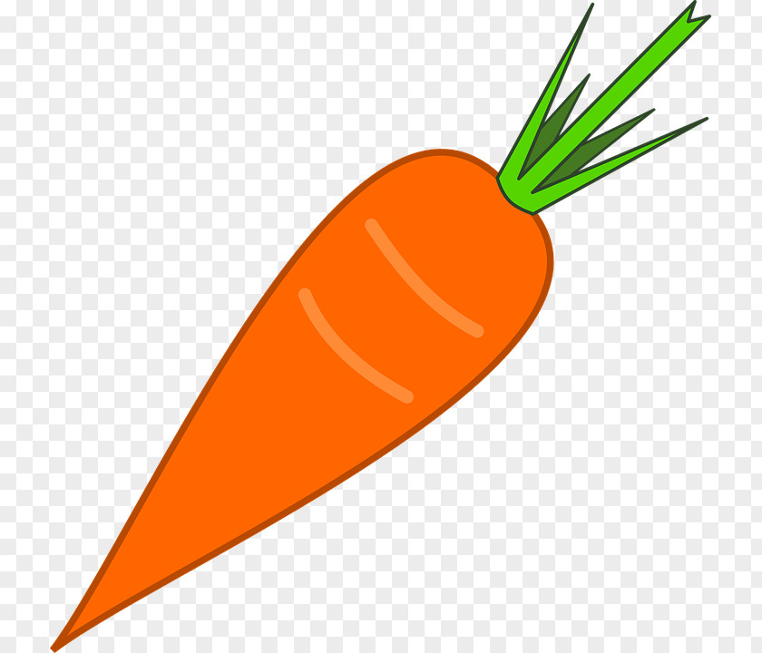 Carrot Vegetable Food Image Juice PNG