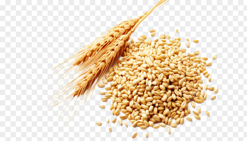 Coarse Cereals Wheat Berry Cereal Spelt PNG