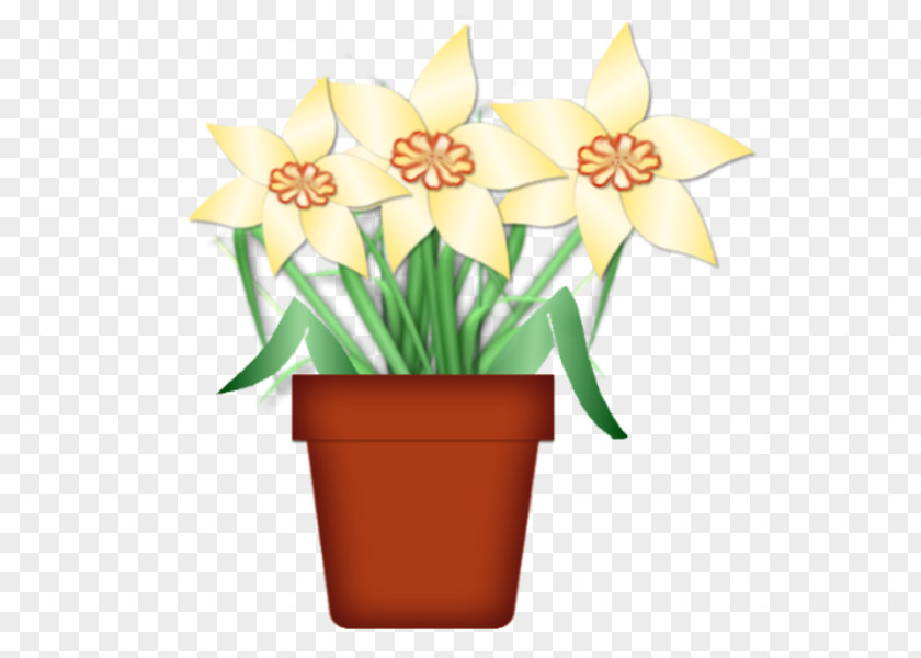 Daffodil Narcissus Cut Flowers Floristry Floral Design PNG