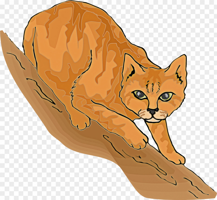 Drawing Animal Figure Cat Small To Medium-sized Cats Wildlife Tail PNG