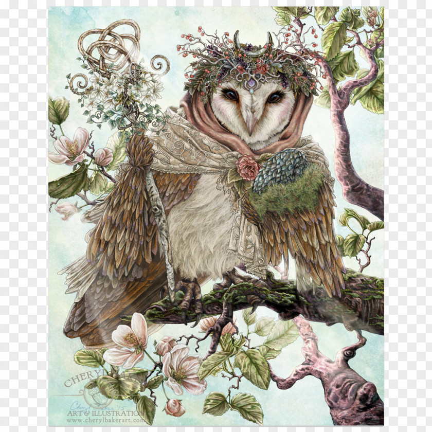 Owl Barn Bird Artist PNG