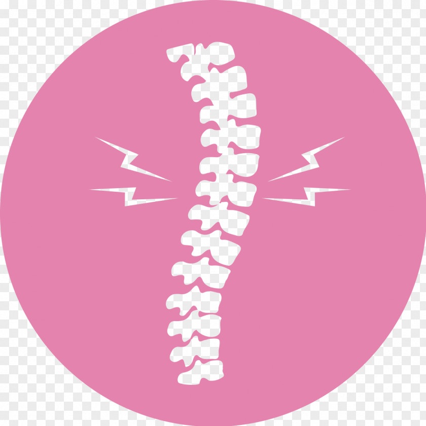 Physical Therapy Of Tcm Massage Vertebral Column Health Back Pain Human PNG