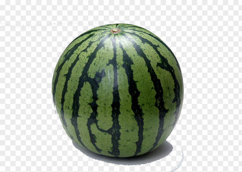Watermelon Fruit Seed Vegetable Cucumber PNG
