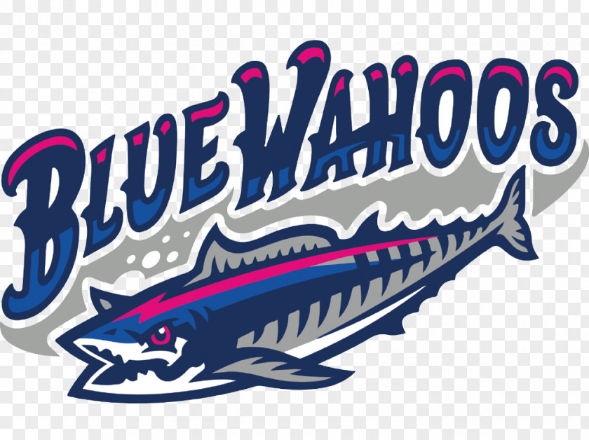 Baseball Admiral Mason Field Pensacola Blue Wahoos Cincinnati Reds Southern League PNG