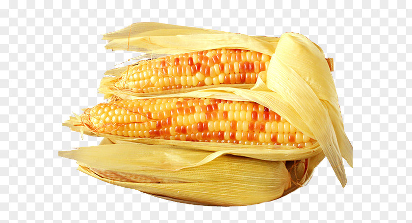 Organic Corn Cob On The Waxy Maize Corncob Food PNG