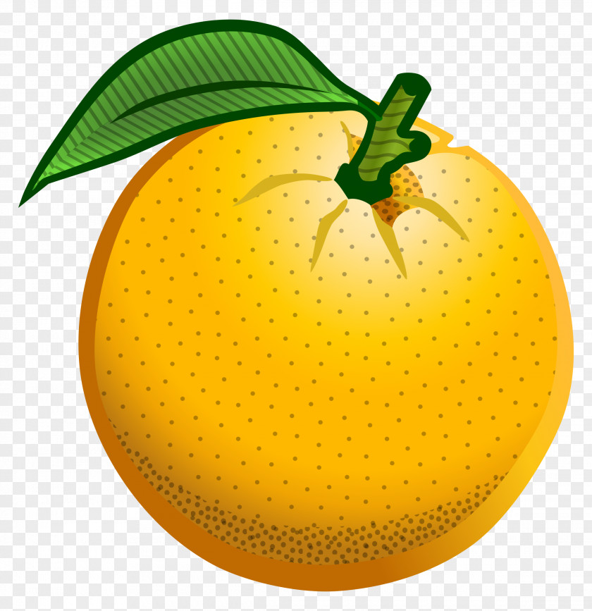 Persimmon Orange Clip Art PNG