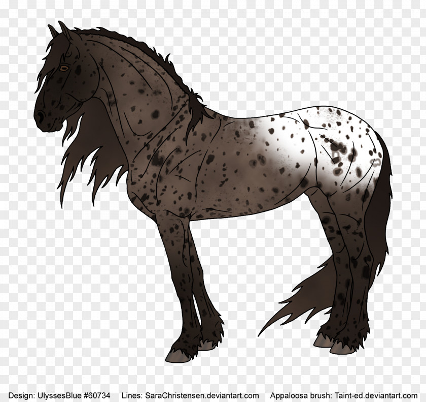 Spotted Friesian Horse Mustang Mane Stallion Pony PNG