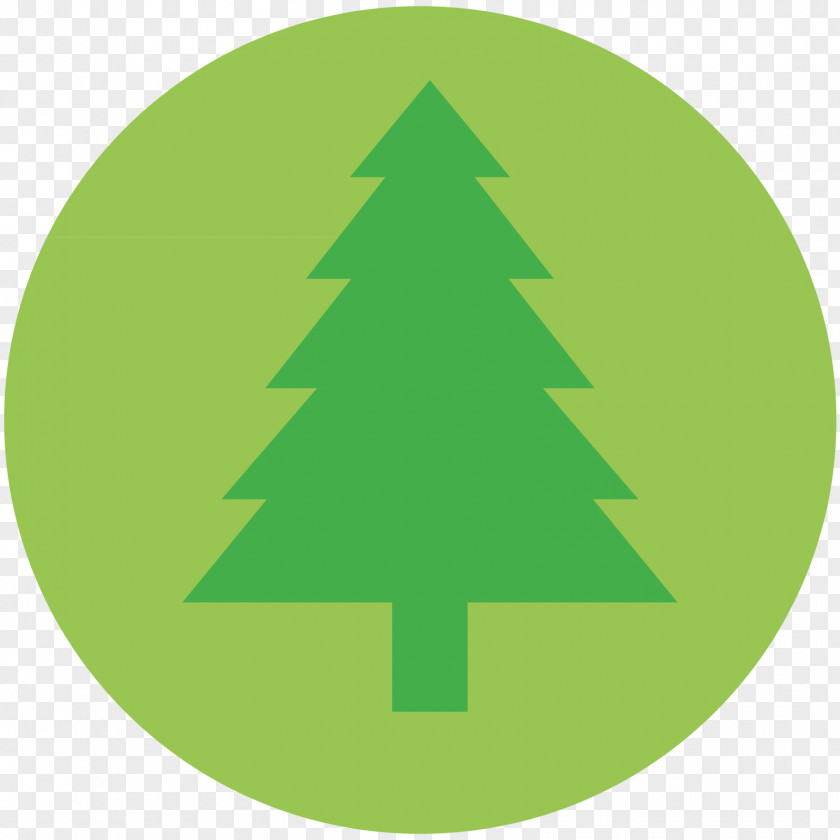Tree Icon Conservation PNG