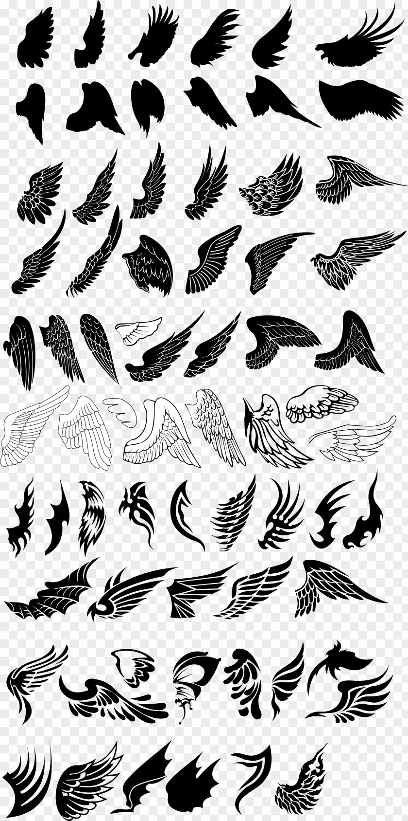 Variety Wings Vector Collection Bird Drawing Euclidean PNG