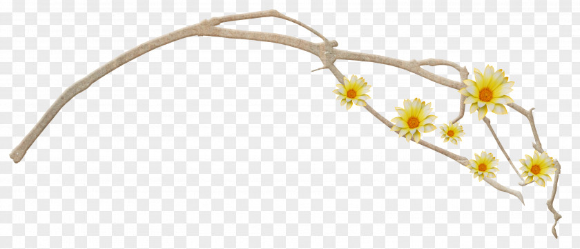 35 Cut Flowers Branch Twig Plant Stem PNG