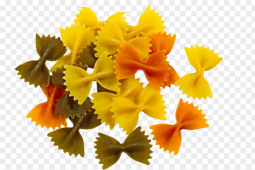 Bow Picture Pasta Farfalle Lasagne Macaroni Stock Photography PNG