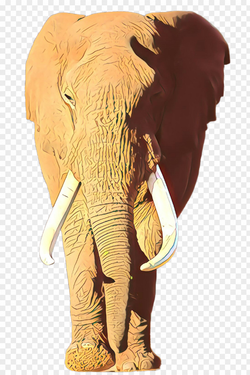 Indian Elephant PNG