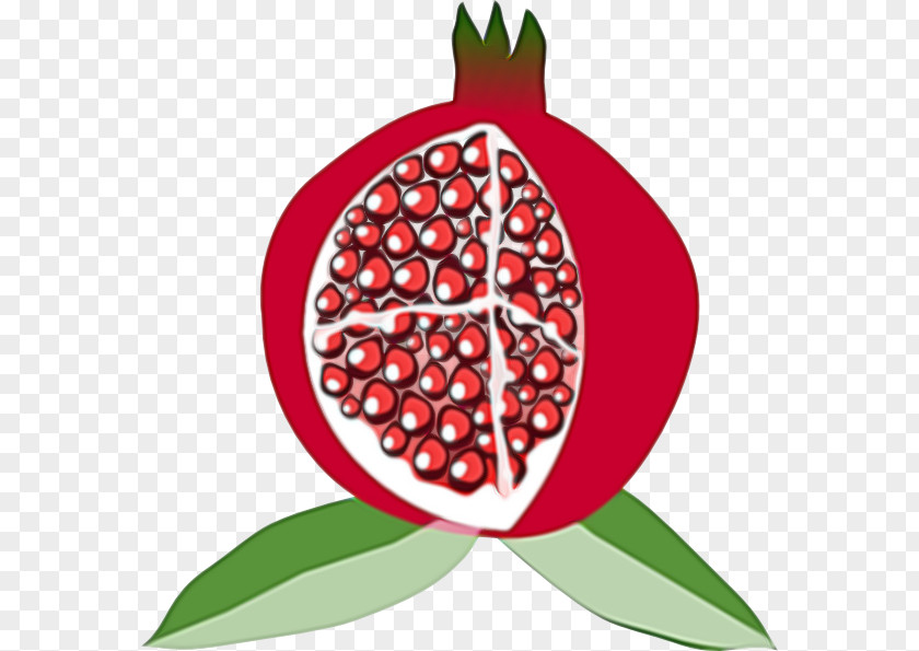 Leaf Fruit Pomegranate Plant Berry PNG