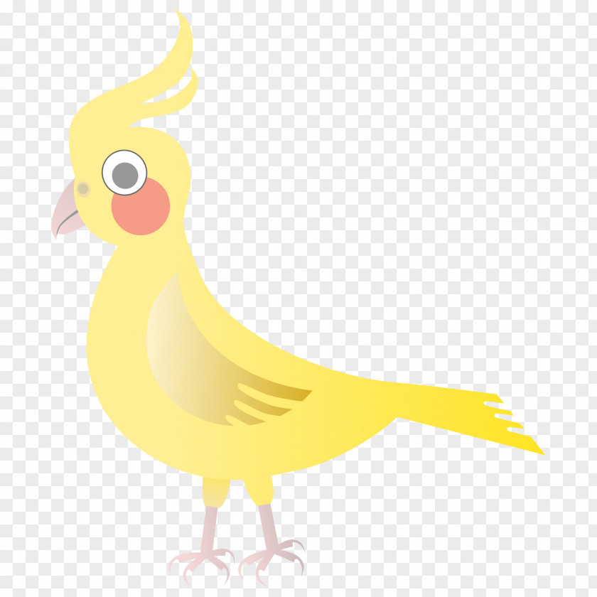 Abstrac Duck Water Bird Chicken Galliformes PNG