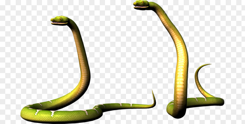 Anaconda Flyer Snakes Mambas Reptile Cobra PNG