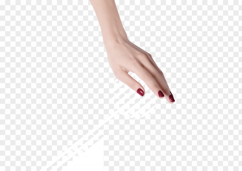 Creative-studio Nail Hand Model Thumb Close-up PNG